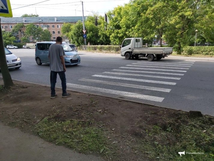 Урбанистика, которую мы заслужили: новая 'зебра' на Спортивной ведет в клумбу (ФОТО)