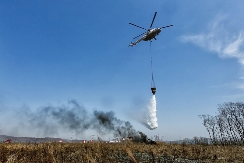 Более 65 млн рублей направили на борьбу с лесными пожарами в Приморье