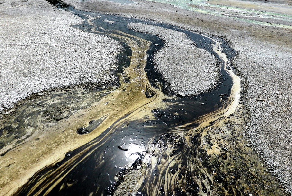 Ядовитая вода у берегов Камчатки убивает морских жителей