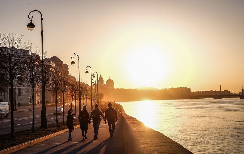 В Петербурге может появиться памятник всем жертвам COVID-19: чье это предложение