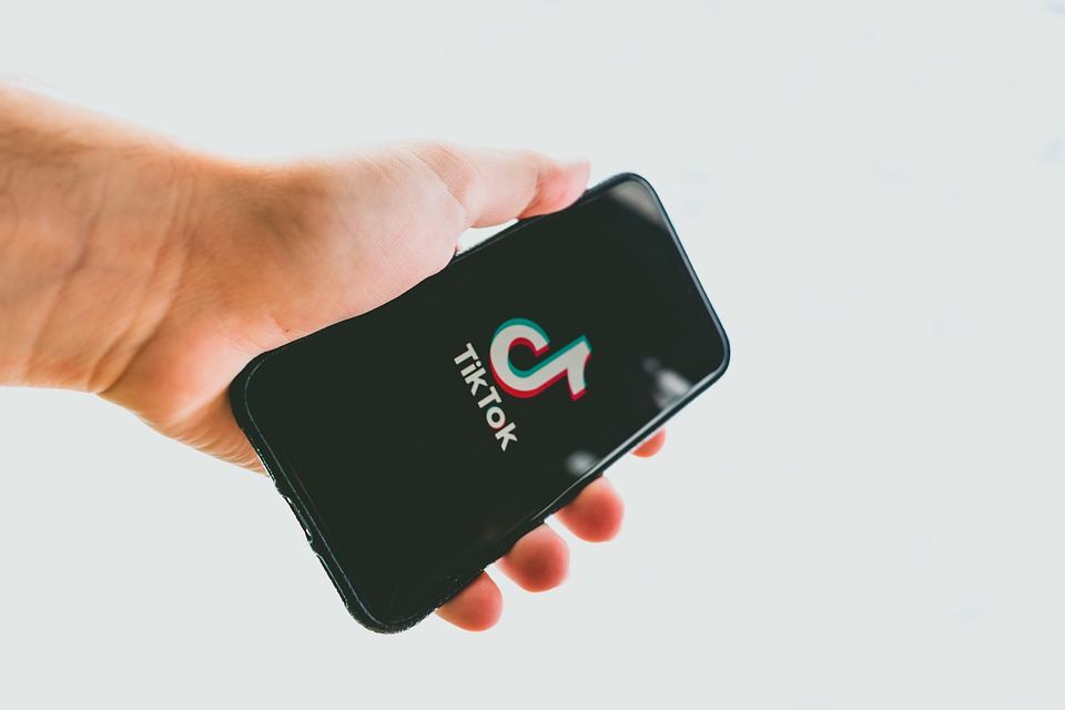 Ауешника из Новосибирска арестовали за ролики в TikTok