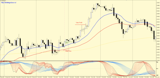 +1200 пунктов по EUR/USD — Стратегия форекс «Luxury»