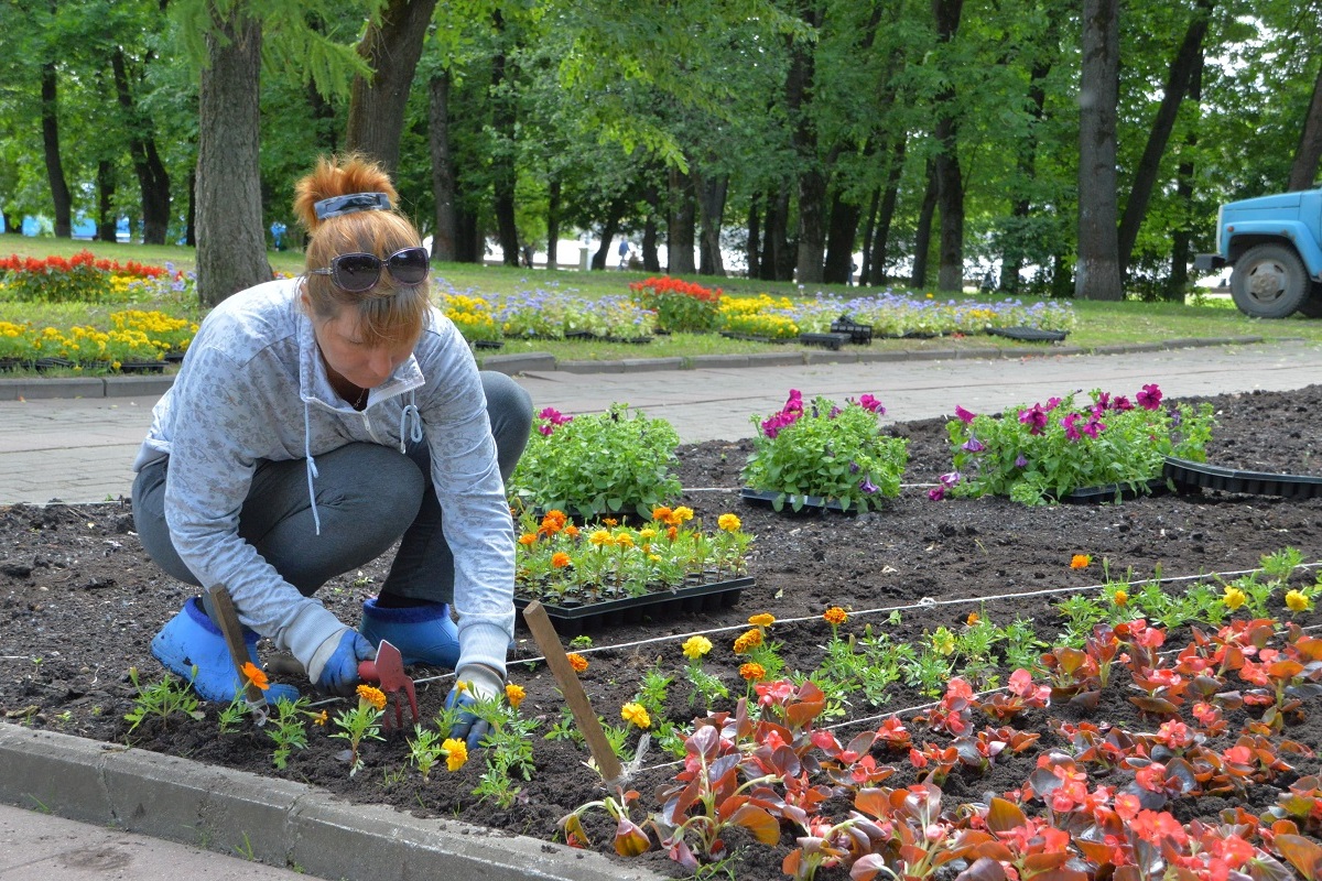 В Твери продолжаются работы по озеленению и благоустройству