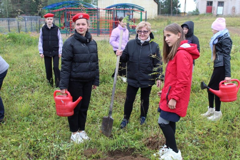 «Сохраним лес»: в Тверской области высадили около 128 тысяч саженцев деревьев и кустарников