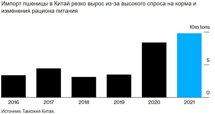 Китайцы полюбили пшеницу