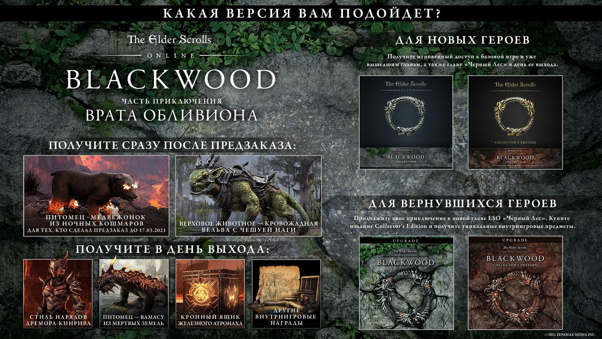 Объявлена дата выхода расширения The Elder Scrolls Online: Blackwood и приключения «Врата Обливиона»