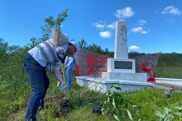 27 миллионов деревьев. Участники «Садов памяти» вспомнили каждого героя