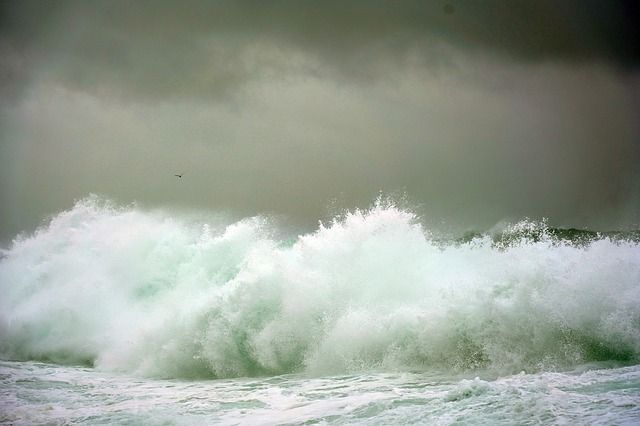 В Баренцевом море нашли тело одного из членов экипажа затонувшего судна