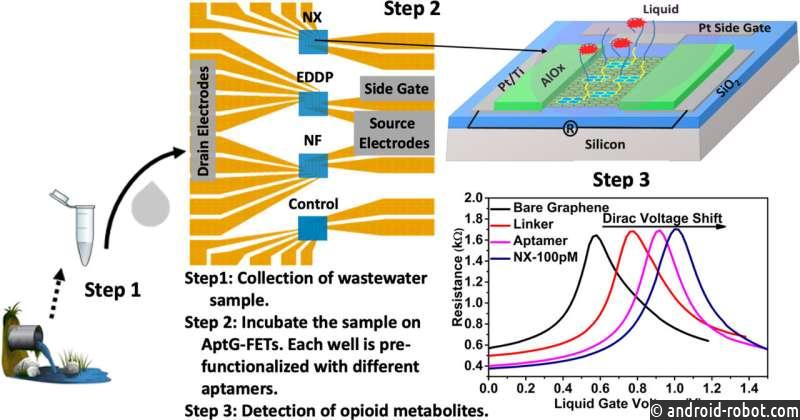 Биосенсор быстро обнаруживает метаболиты опиоидов в сточных водах