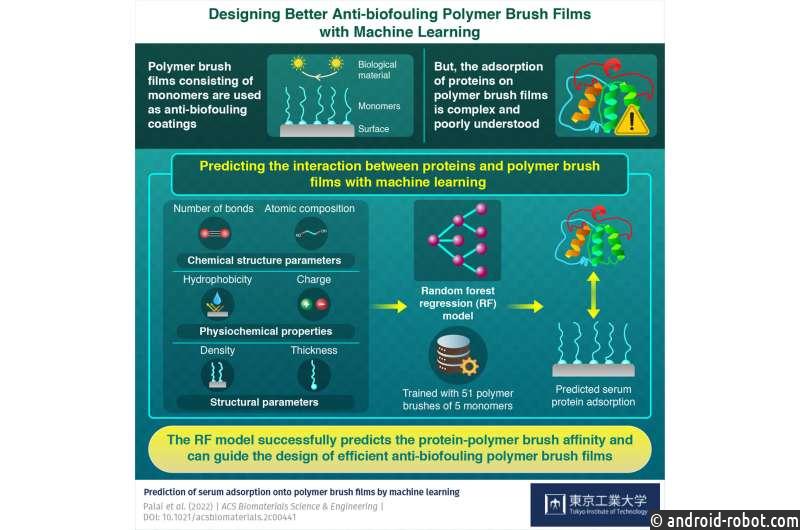 Машинное обучение позволяет оптимизировать дизайн полимерных щеточных пленок, предотвращающих биообрастание