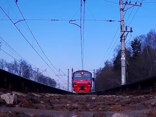 Юный зацепер полтора дня пролежал в лесу после неудачной поездки на электричке