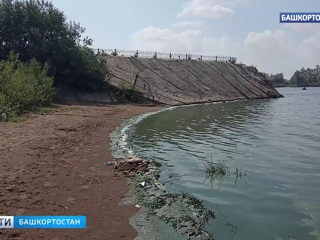 Вода в Каме стала позеленела