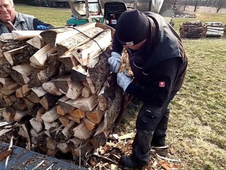 Венгрия запрещает экспорт дров и энергоносителей