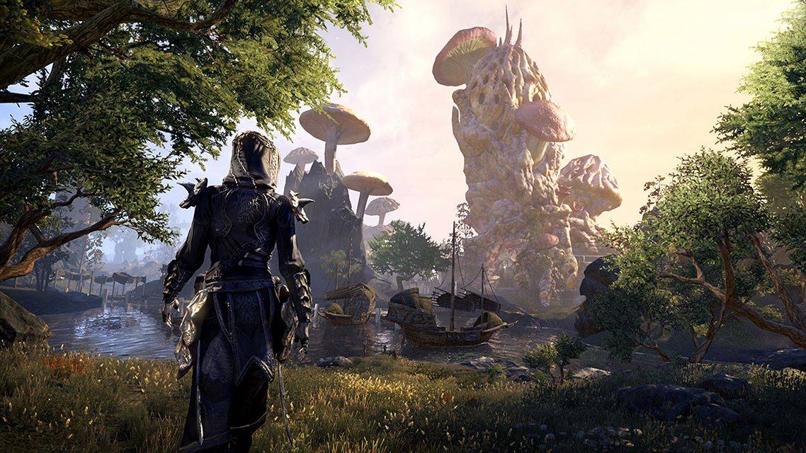 The Elder Scrolls Online стала на время бесплатной