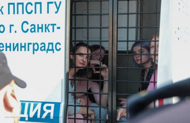 Полиция задерживает активистов, несогласных с законопроектом Мизулиной