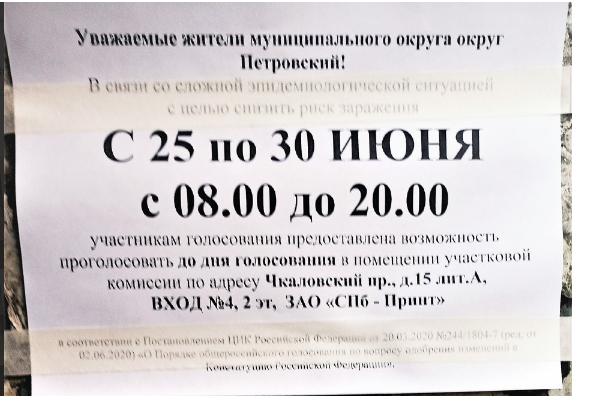 Горизбирком: 79,16% петербургских избирателей сказали да поправкам