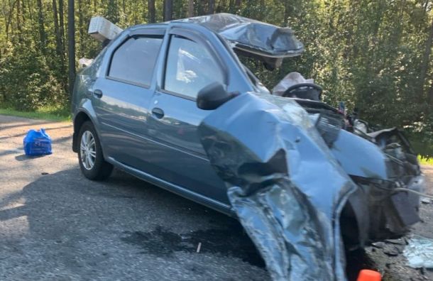 Пенсионерка выехала на встречку и погибла в аварии