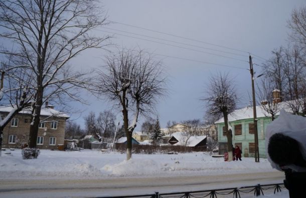 Чиновники пообещали не рубить здоровые деревья в Новой Ладоге