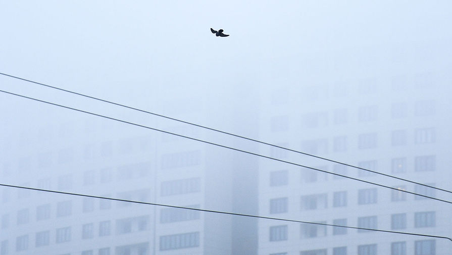 В Москве и области объявлен 'желтый' уровень погодной опасности из-за тумана