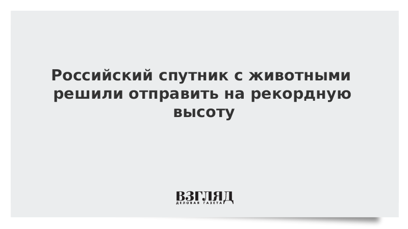 Роскосмос отправит животных на рекордную высоту и подвергнет сильной радиации