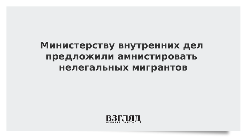 Министерству внутренних дел предложили амнистировать нелегальных мигрантов