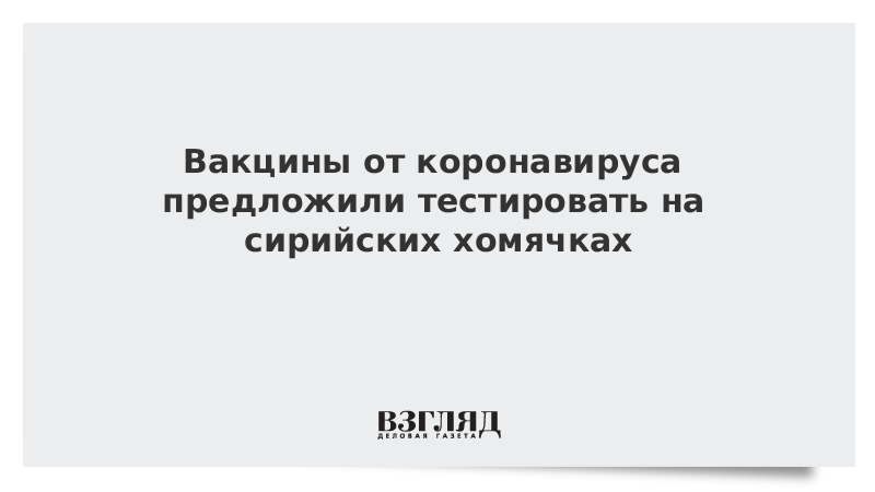 Вакцины от коронавируса предложили тестировать на сирийских хомячках