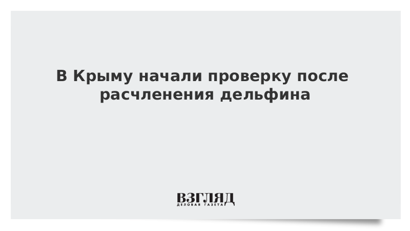 В Крыму начали проверку после расчленения дельфина