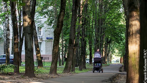 Экологи дали советы свидетелям «отравления» деревьев