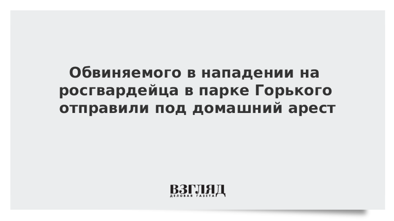 Обвиняемого в нападении на росгвардейца в парке Горького отправили под домашний арест