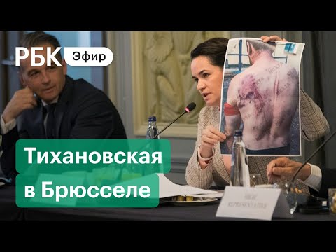 Белорусская оппозиция потребовала в Европарламенте ввести санкции. Видео