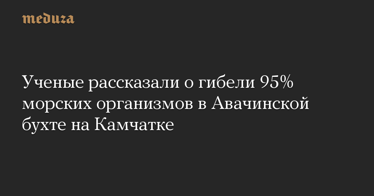 Ученые рассказали о гибели 95% морских организмов в Авачинской бухте на Камчатке