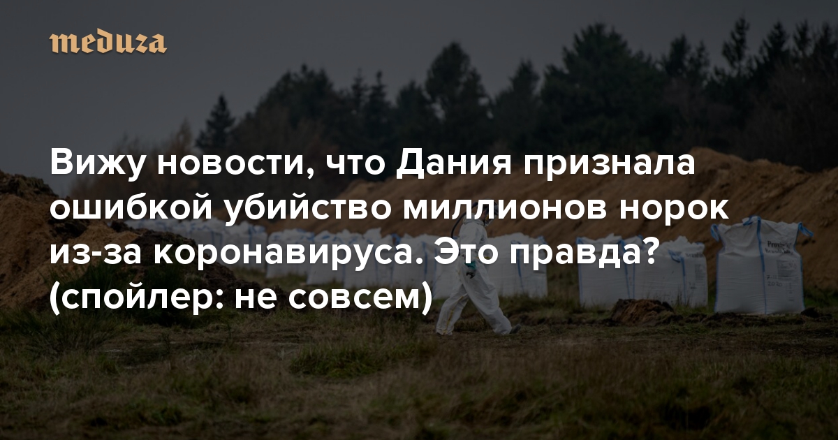 Вижу новости, что Дания признала ошибкой убийство миллионов норок из-за коронавируса. Это правда? (спойлер: не совсем)