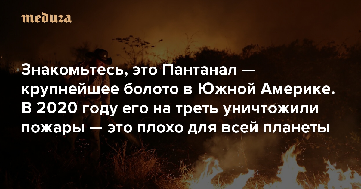 Знакомьтесь, это Пантанал — крупнейшее болото в Южной Америке. В 2020 году его на треть уничтожили пожары — это плохо для всей планеты