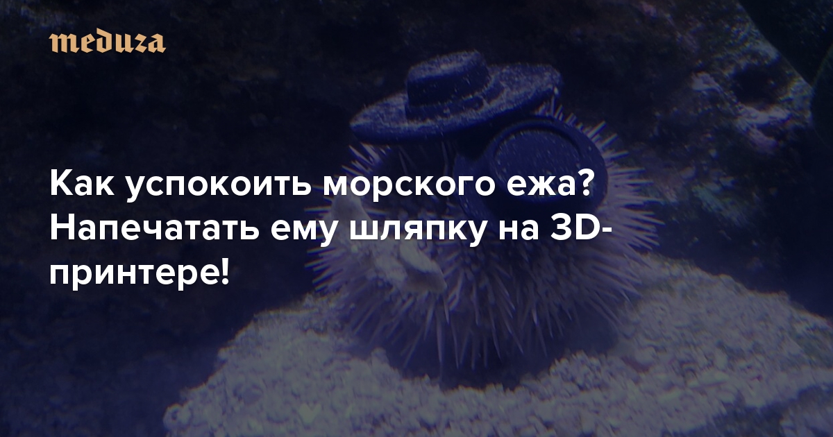 Как успокоить морского ежа? Напечатать ему шляпку на 3D-принтере!