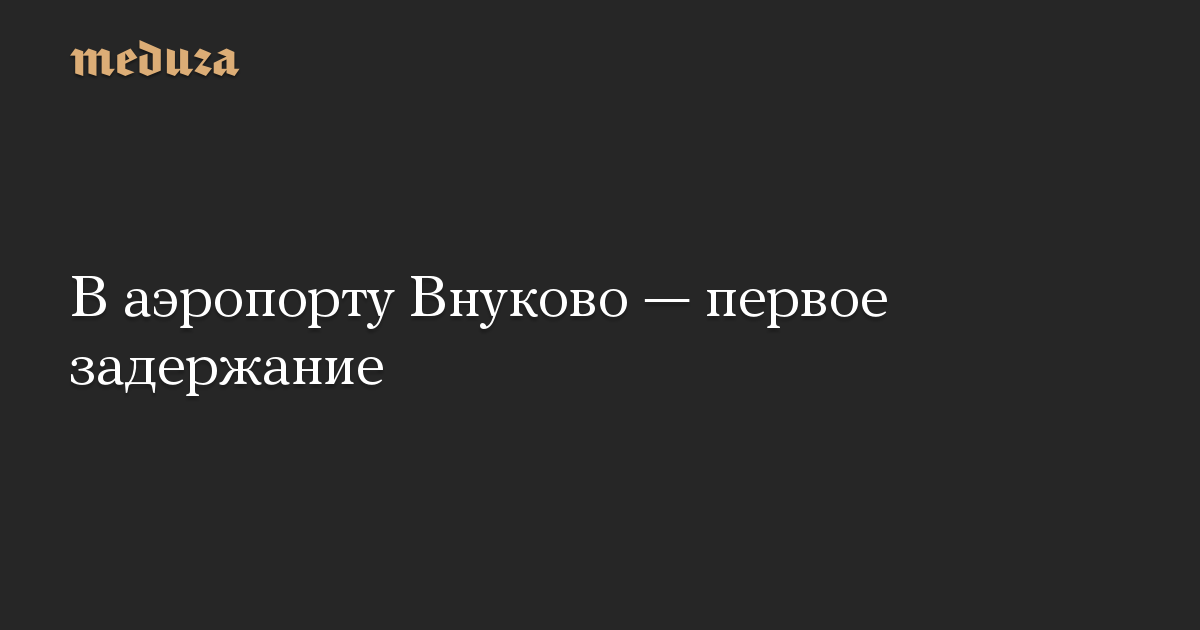 В аэропорту Внуково — первое задержание