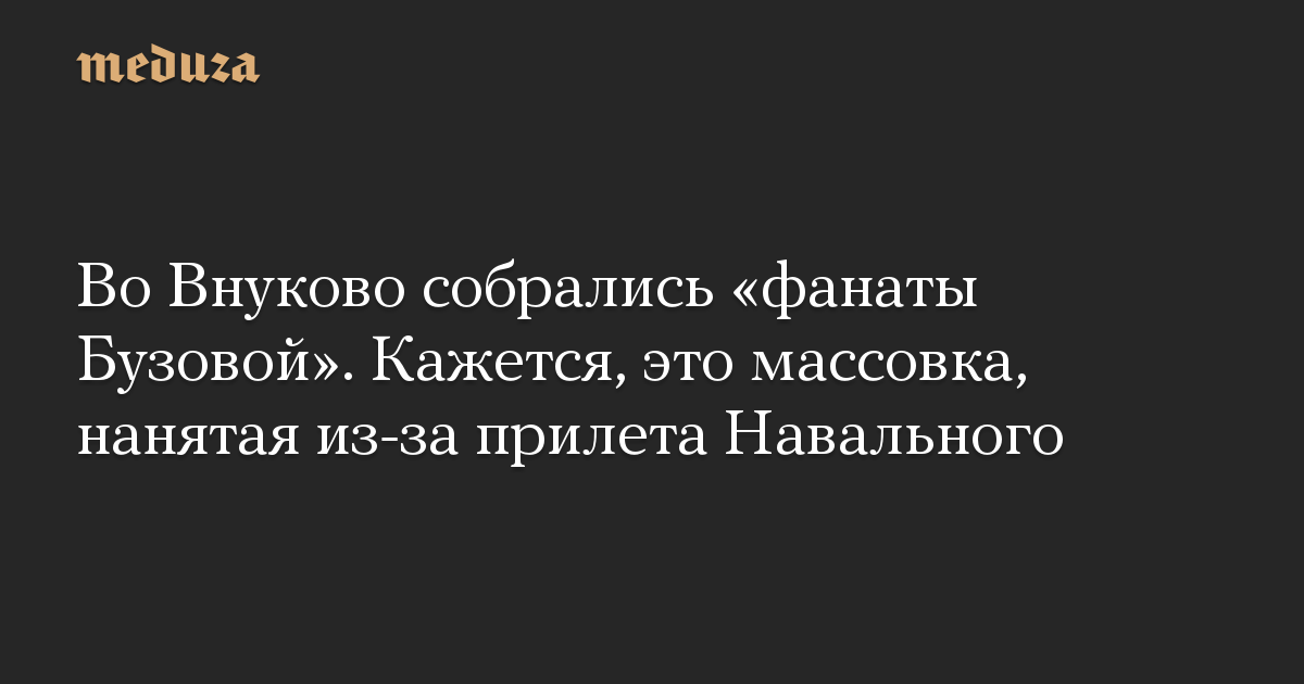 Во Внуково собрались «фанаты Бузовой». Кажется, это массовка, нанятая из-за прилета Навального