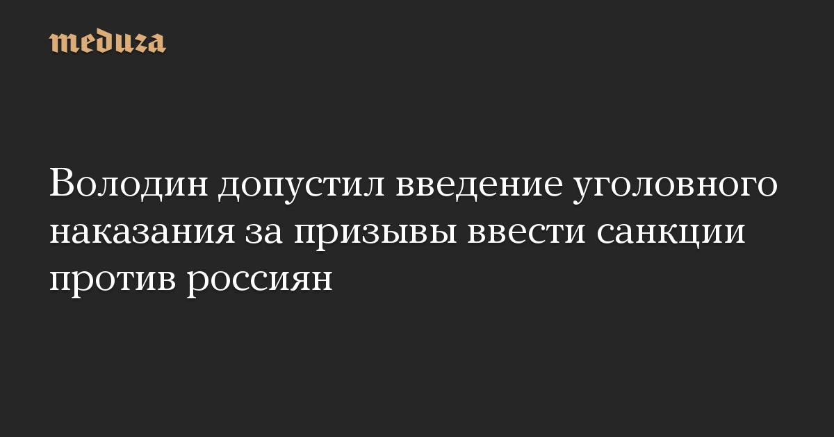 Володин допустил введение уголовного наказания за призывы ввести санкции против россиян