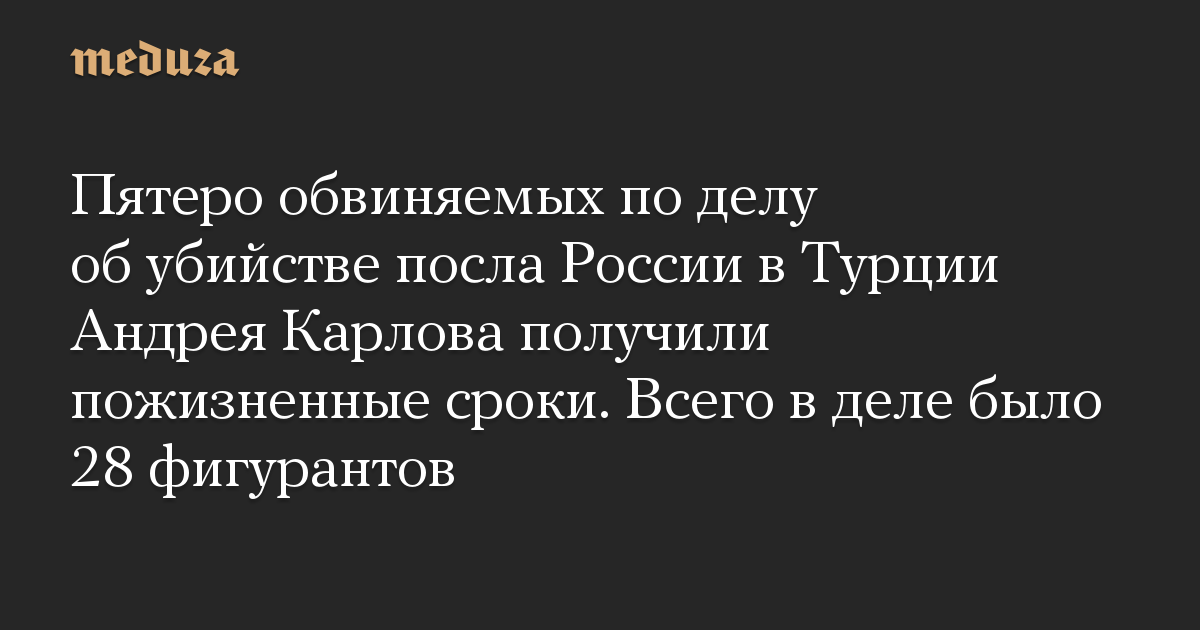 Пятеро обвиняемых по делу об убийстве посла России в Турции Андрея Карлова получили пожизненные сроки. Всего в деле было 28 фигурантов