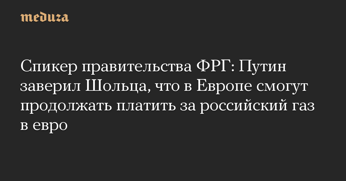 Спикер правительства ФРГ: Путин заверил Шольца, что в Европе смогут продолжать платить за российский газ в евро