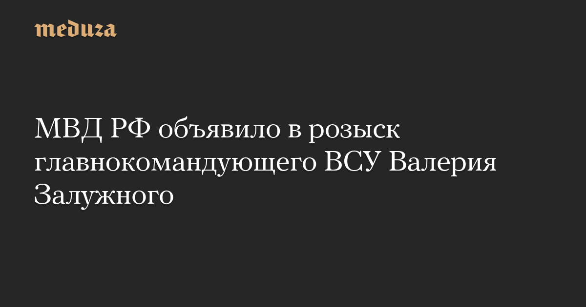 МВД РФ объявило в розыск главнокомандующего ВСУ Валерия Залужного