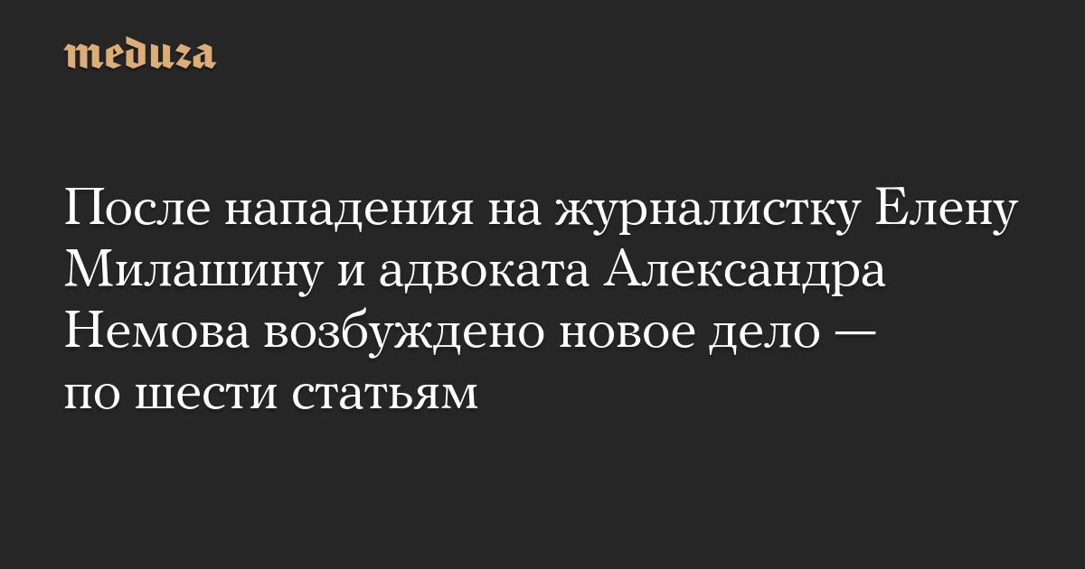 После нападения на журналистку Елену Милашину и адвоката Александра Немова возбуждено новое дело — по шести статьям