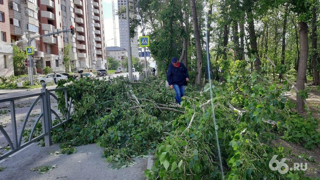 В Свердловской области умерла женщина, на которую упала ветка дерева. Это уже четвертая жертва урагана