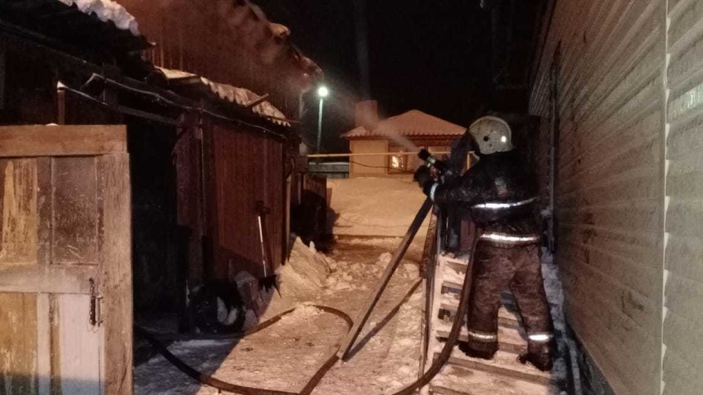 Во время пожара под Екатеринбургом погибли семь лошадей конной полиции. Фото