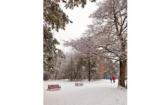 Прогулка по лесу и новогоднему городу – любимый отдых россиян этой зимой