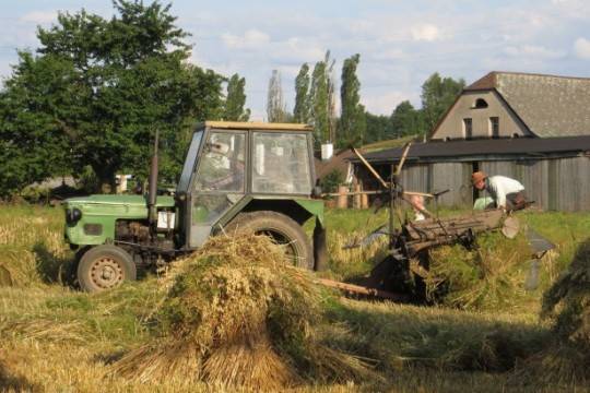 Российским фермерам не помогла господдержка