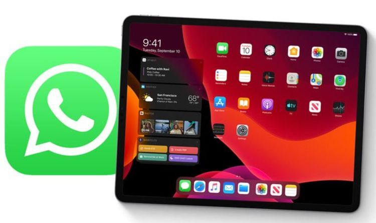 WhatsApp впервые появится на iPad