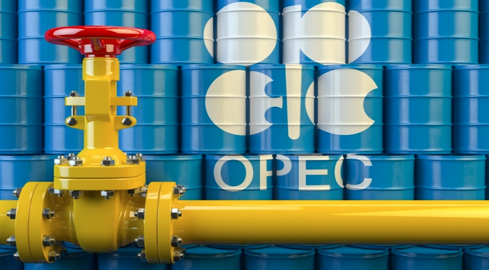 Если бы не ОПЕК+, нефть подорожала бы в два раза