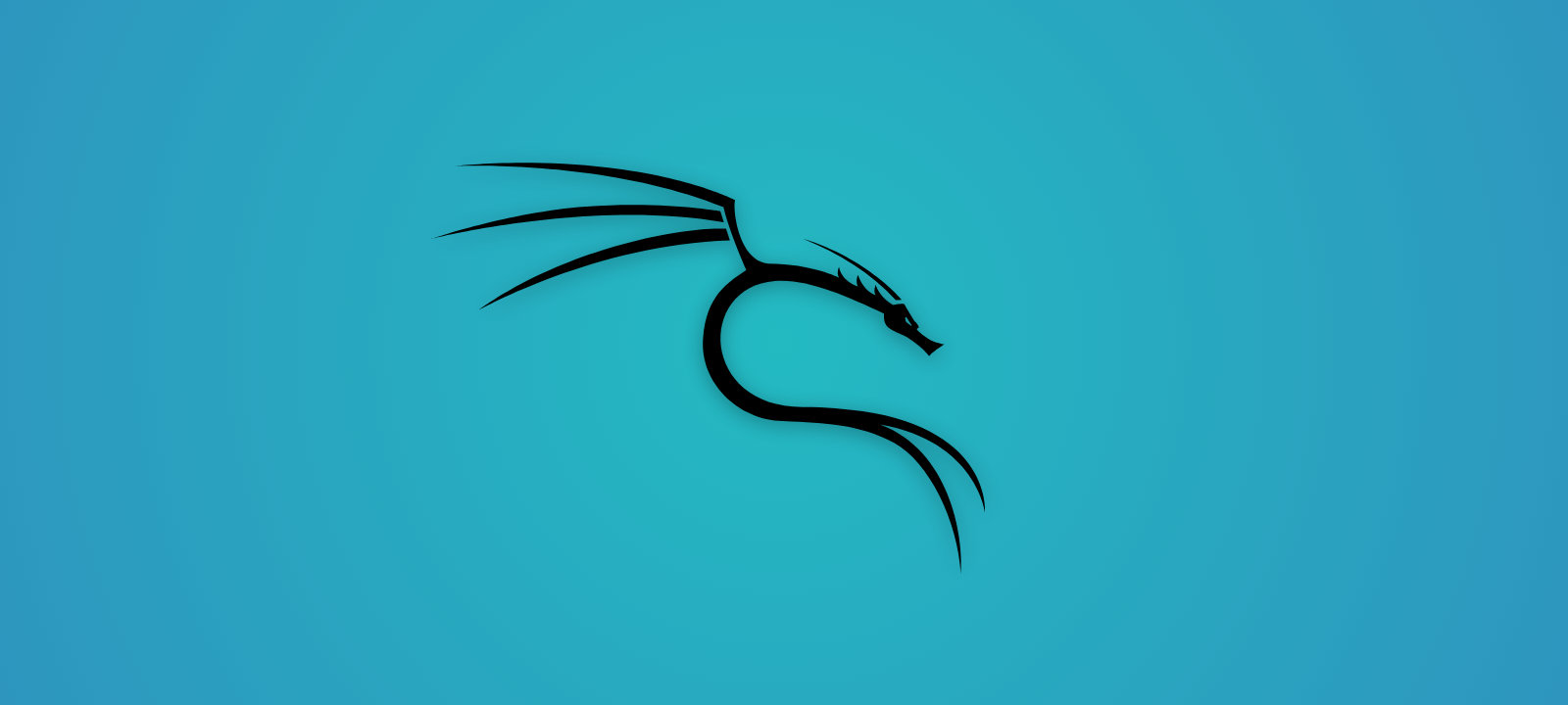 Сканирование уязвимостей. Глава из книги «Kali Linux. Тестирование на проникновение и безопасность»