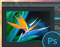 Обзор игрового ноутбука HP Omen X 2S с двумя экранами